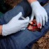 Аппликатор гемостатический с гранулами Rhino Rescue в Туле хитозановый